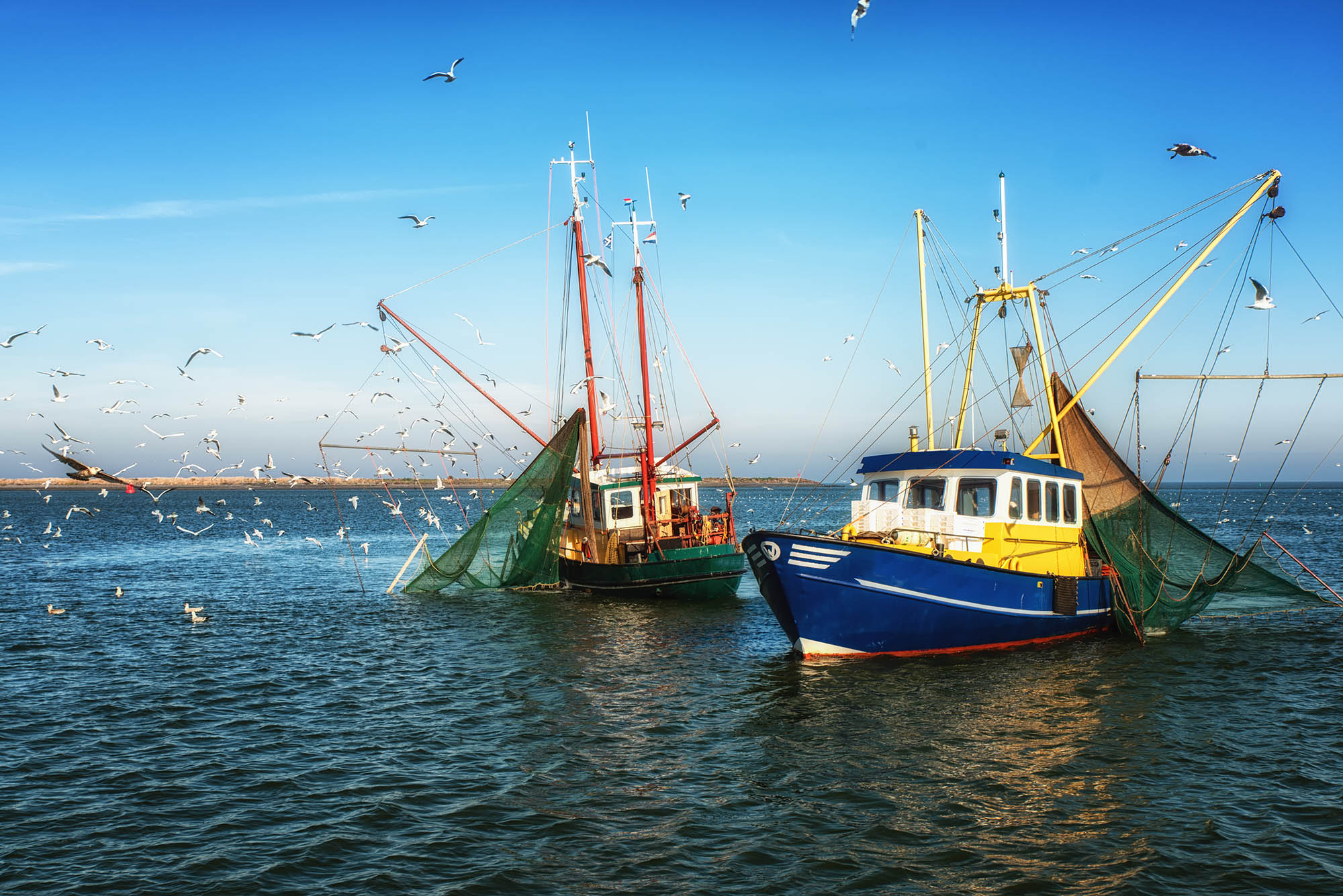 E-TRADE Fishing Industry