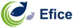 EFICE_logo